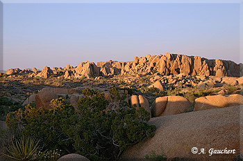 Jumbo Rock